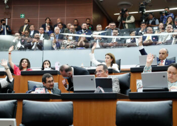 Solicita Congreso de la Unión fortalecer reforestación en áreas verdes de zonas urbanas