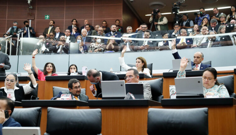 Solicita Congreso de la Unión fortalecer reforestación en áreas verdes de zonas urbanas