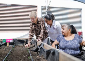 Rehabilita DIF Tamaulipas huerto comunitario en Casa Hogar del Adulto Mayor