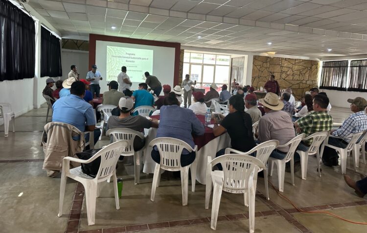 Imparten taller para la elaboración del mezcal en San Carlos, Tamaulipas