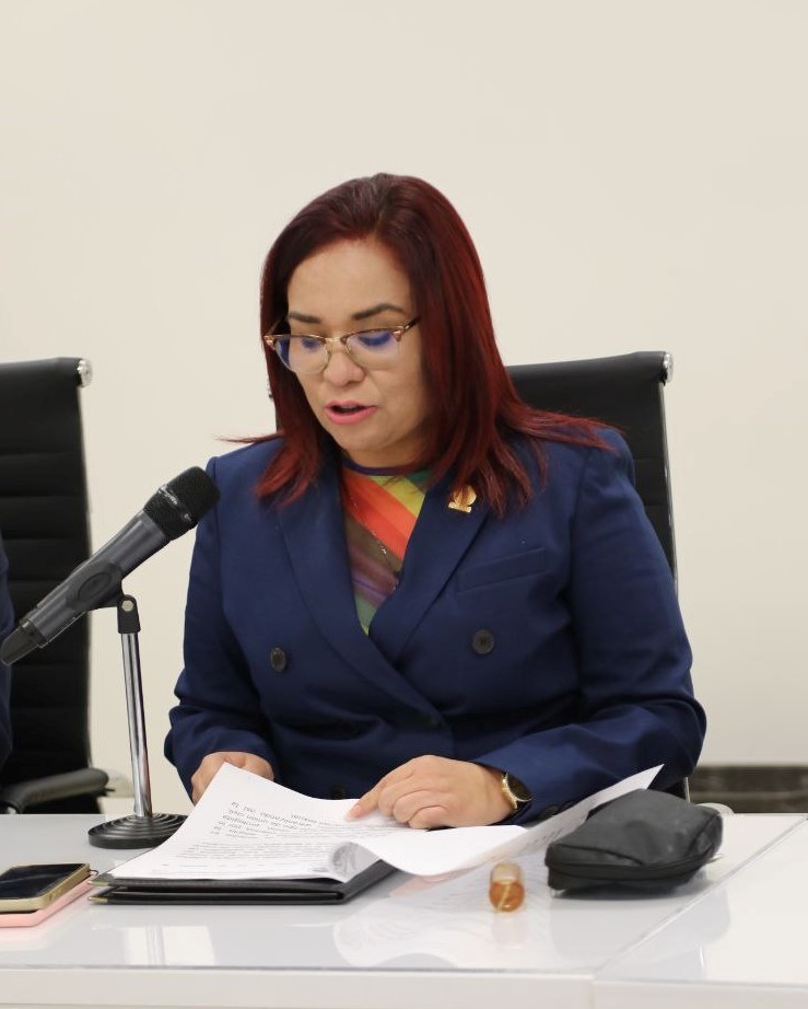 Proponen ajuste a ley para concientizar a estudiantes sobre reforestación