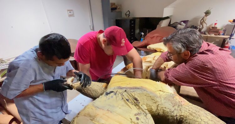 Inicia TAMUX producción de réplicas de animales del pasado