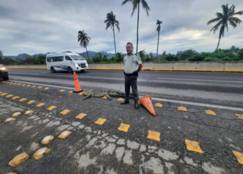 Muere tras ser atacado por un cocodrilo; solo paró a comprar en una tienda
