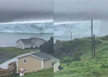 Cambio Climático: Colosal iceberg llega a la isla canadiense de Terranova