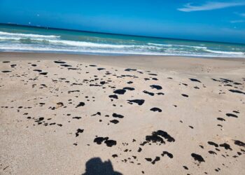 Monitorean Gobierno Federal y SEDUMA hidrocarburo en litoral de Tamaulipas