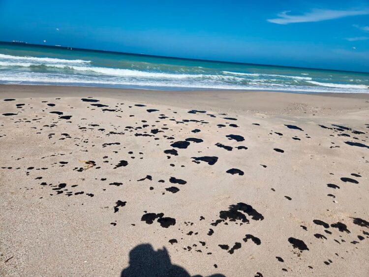 Monitorean Gobierno Federal y SEDUMA hidrocarburo en litoral de Tamaulipas