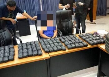 Confiscan 22 mdd en drogas en cruces de California.