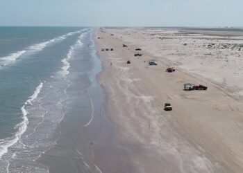 Participan familias de varios estados en Torneo de Pesca Bicentenario en Matamoros