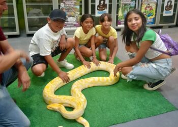 Expone Parque Ecológico de la Biósfera El Cielo especies de reptiles y anfibios a la población