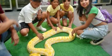 Expone Parque Ecológico de la Biósfera El Cielo especies de reptiles y anfibios a la población