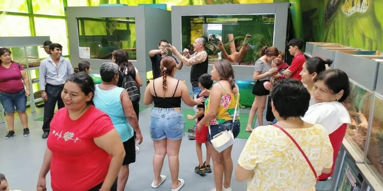 Expone Parque Ecológico de la Biósfera El Cielo especies de reptiles y anfibios a la población