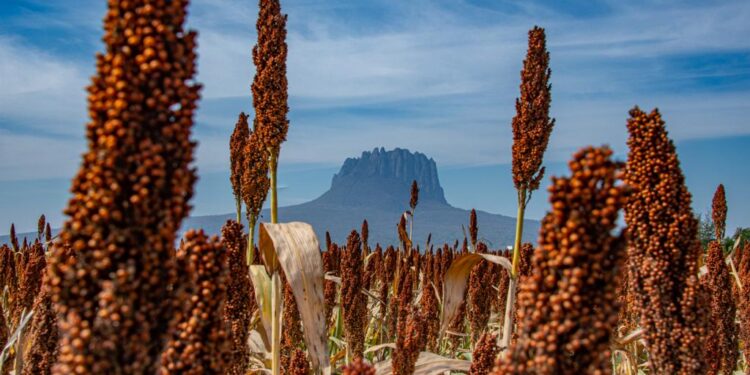 Dan a conocer ganadores del Primer Concurso Estatal de Fotografía “Esto es Tamaulipas”