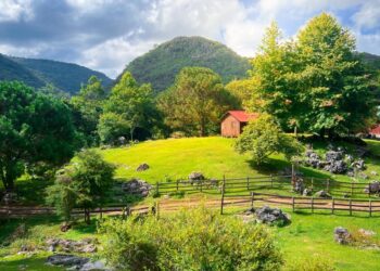 Dan a conocer ganadores del Primer Concurso Estatal de Fotografía “Esto es Tamaulipas”