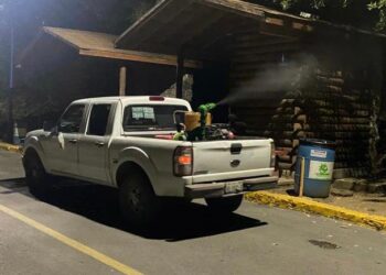 Reportan 47 casos de dengue en Tamaulipas, 15 de ellos graves