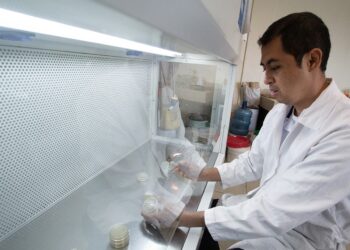 Estudia la UAT nuevos compuestos en especies de insectos comestibles