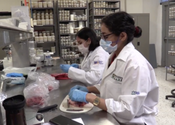 Participará la UAT en proyectos con universidades de Estados Unidos