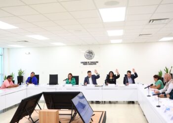 Promueven juicio político contra Diputados Federales tamaulipecos del PAN
