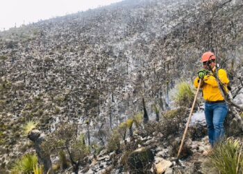 Aumento de calor dispara riesgo de incendios forestales
