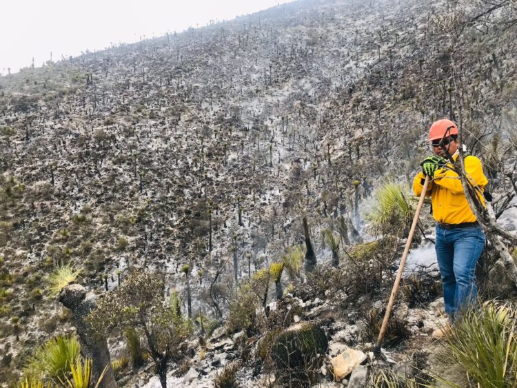 Aumento de calor dispara riesgo de incendios forestales