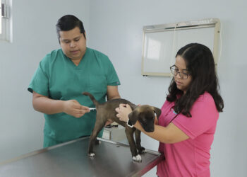 Con Hospital Veterinario se vinculan UAT y comunidad