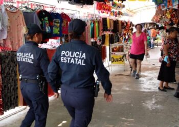 Crean grupo “Delfín” para prevenir tonos en Victoria