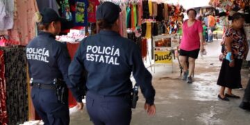 Crean grupo “Delfín” para prevenir tonos en Victoria