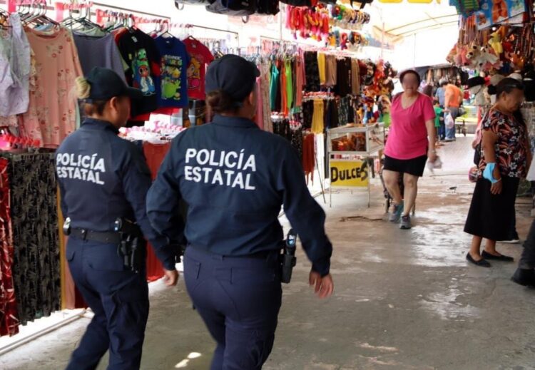 Crean grupo “Delfín” para prevenir tonos en Victoria