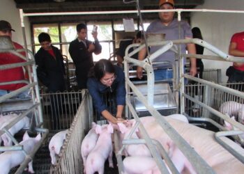 Contribuye la UAT en el mejoramiento de la actividad pecuaria