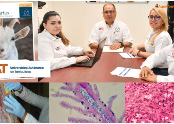 Revista “Ciencias Veterinarias y Producción Animal” Impulsa la Difusión del Conocimiento Científico en la UAT