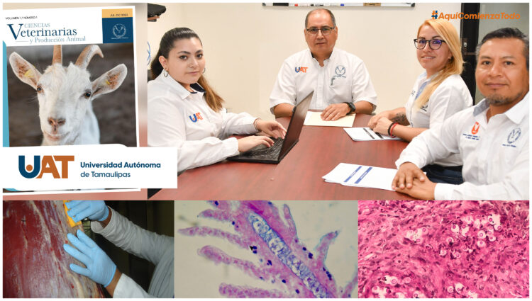 Revista “Ciencias Veterinarias y Producción Animal” Impulsa la Difusión del Conocimiento Científico en la UAT