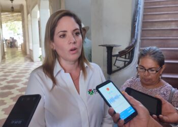 AMLO dejó de lado agenda de las mujeres: Ale Cárdenas