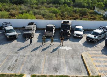 Decomisan cuatro “mounstros”