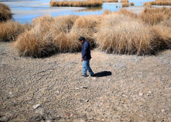 El lago Titicaca enfrenta niveles críticamente bajos debido a la sequía