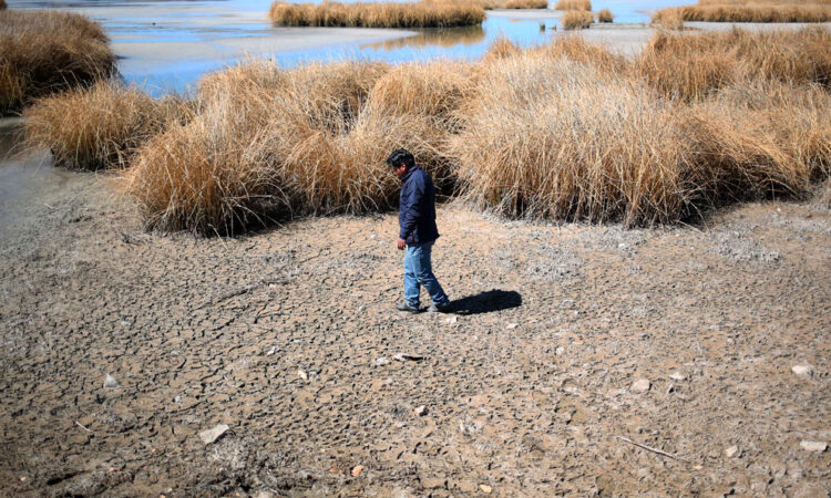 El lago Titicaca enfrenta niveles críticamente bajos debido a la sequía