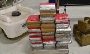 Decomisan droga en Puente Colombia