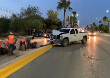 Cafre derriba con su camioneta palmera en la Avenida José Sulaimán