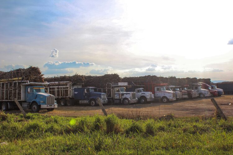 Mantiene México superávit comercial de la azúcar de caña; 81% se va a EU