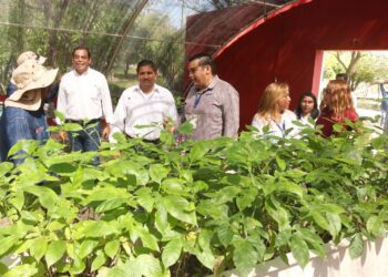 Contribuye Iniciativa Privada a tareas de reforestación de Tamaulipas