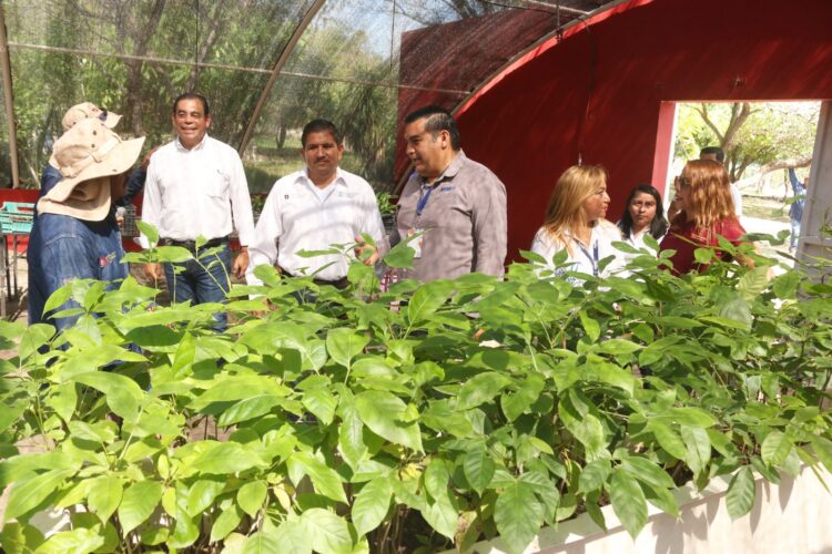 Contribuye Iniciativa Privada a tareas de reforestación de Tamaulipas