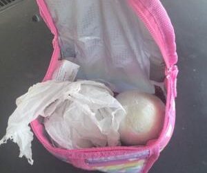 Hasta en pañales ocultan heroína