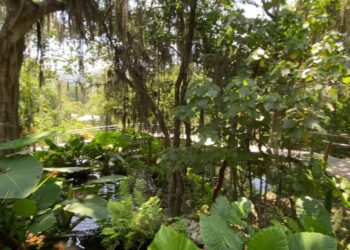 Firman convenio sobre biodiversidad Gobierno de Tamaulipas y Centro de Investigación de Chile