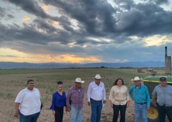 México requiere un gobierno al que le importe el campo, no que importe granos: CNC