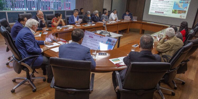 En macha plan integral para proteger sanidad citrícola en México; “Dragón Amarillo” afecta 308 mil hectáreas