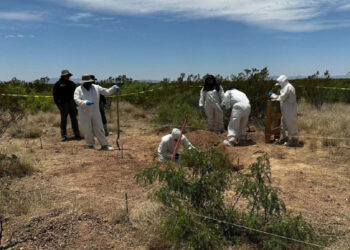 Rescatan restos de 7 personas de narcofosa de Ciudad Juárez