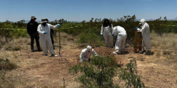 Rescatan restos de 7 personas de narcofosa de Ciudad Juárez