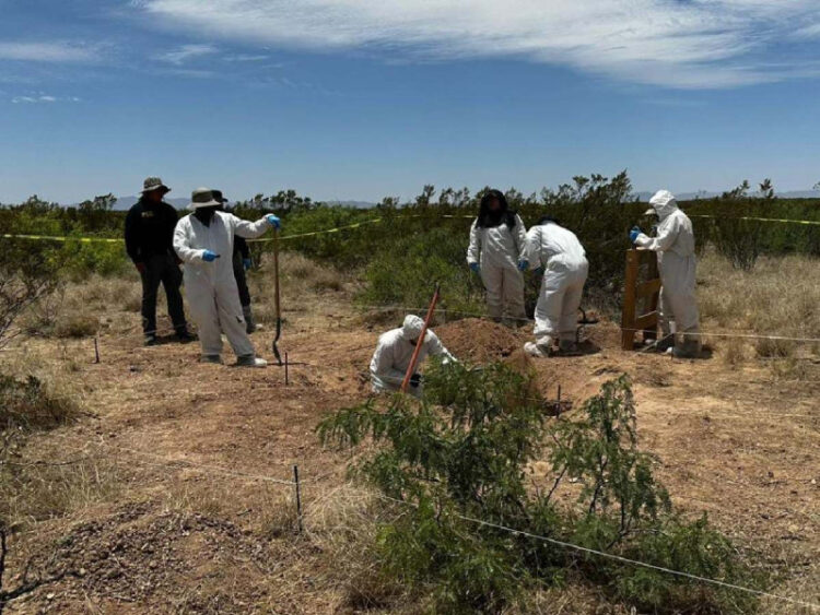 Rescatan restos de 7 personas de narcofosa de Ciudad Juárez