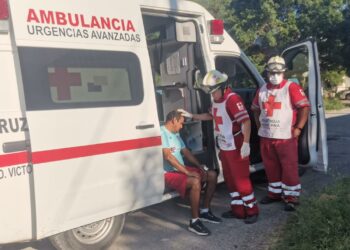 Enjambre ataca a dos personas en la Colonia Miguel Alemán