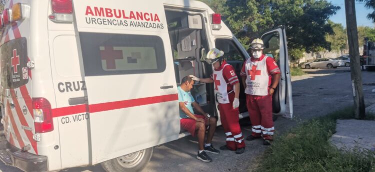 Enjambre ataca a dos personas en la Colonia Miguel Alemán