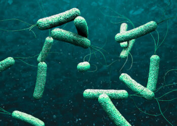 Alerta global: OMS advierte de crecientes brotes de cólera