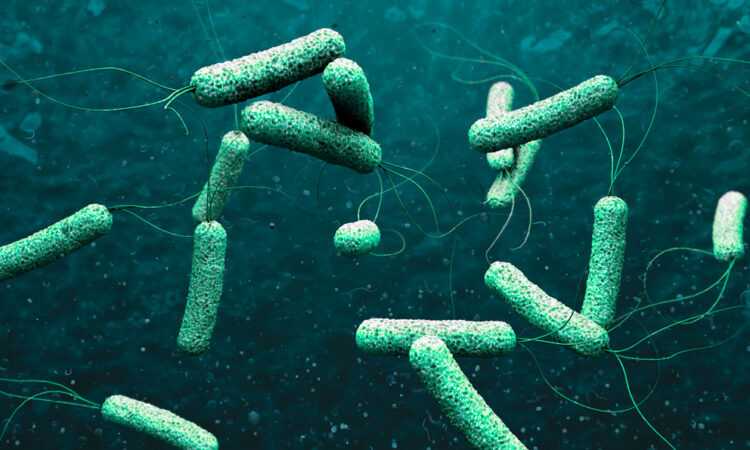 Alerta global: OMS advierte de crecientes brotes de cólera